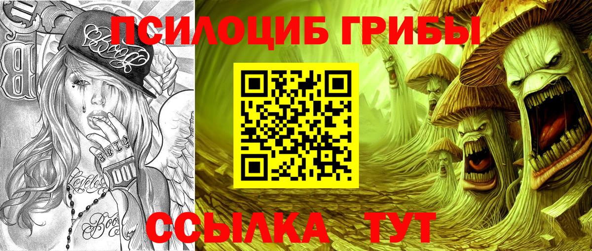 Россия  Галлюциногенные грибы GOLDEN TEACHER  Вход с VPN 