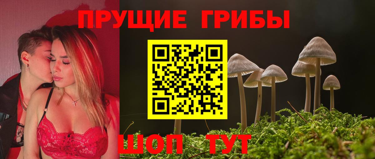 Галлюциногенные грибы мухоморы Россия